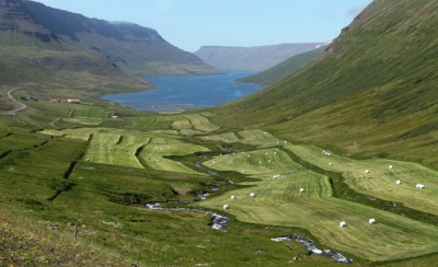 Botn &iacute; S&uacute;gandafir&eth;i