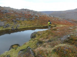 Vantar sk&yacute;ringatexta.