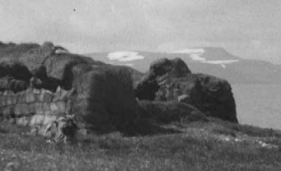 Sta&eth;areyrar. Sn&aelig;fj.hr.